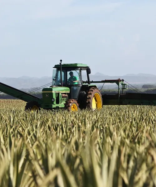 tractor in field