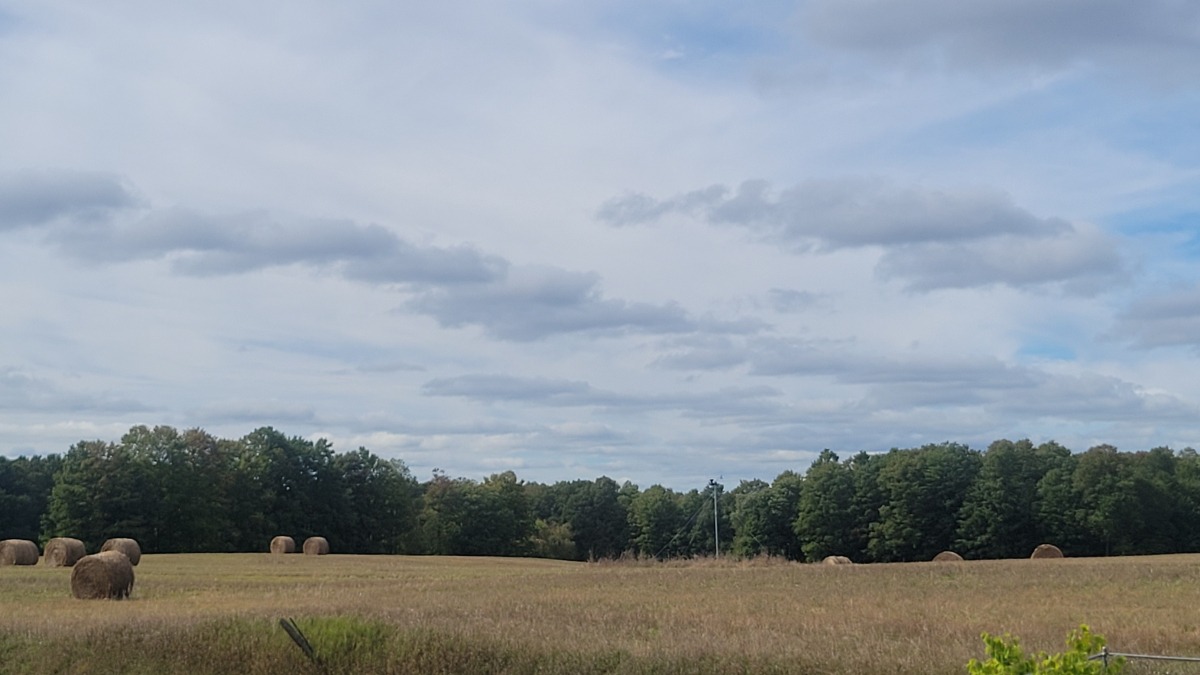 26 acres farmland 