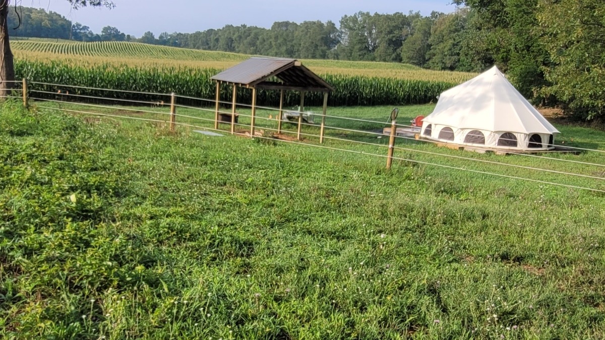 Looking south from the front of the property inside the horse fence