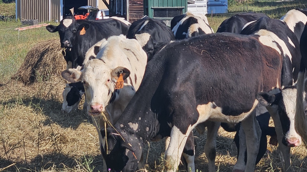 More images available soon