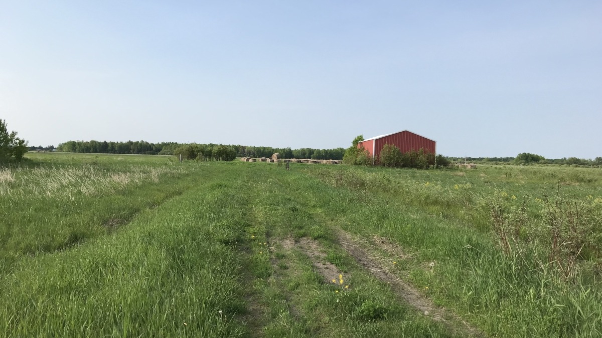 1. view from the road