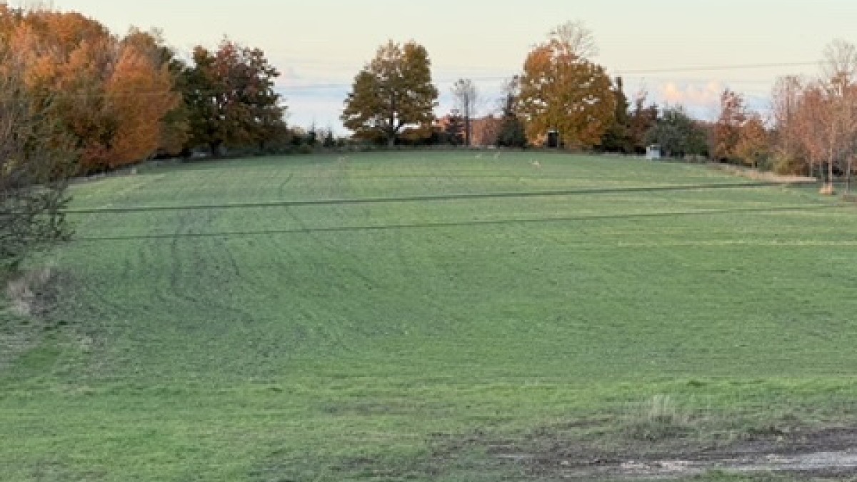 Image of field looking north from the farm house,