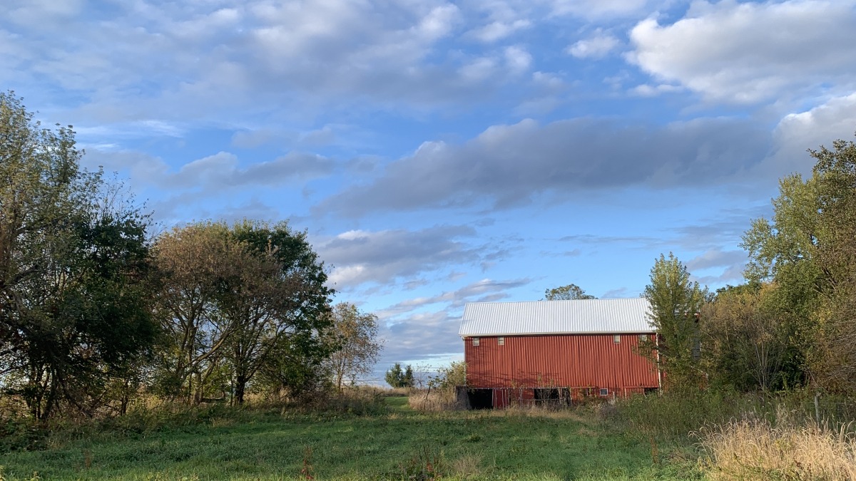 Pasture w/ lower barn, irrigation and electrical access