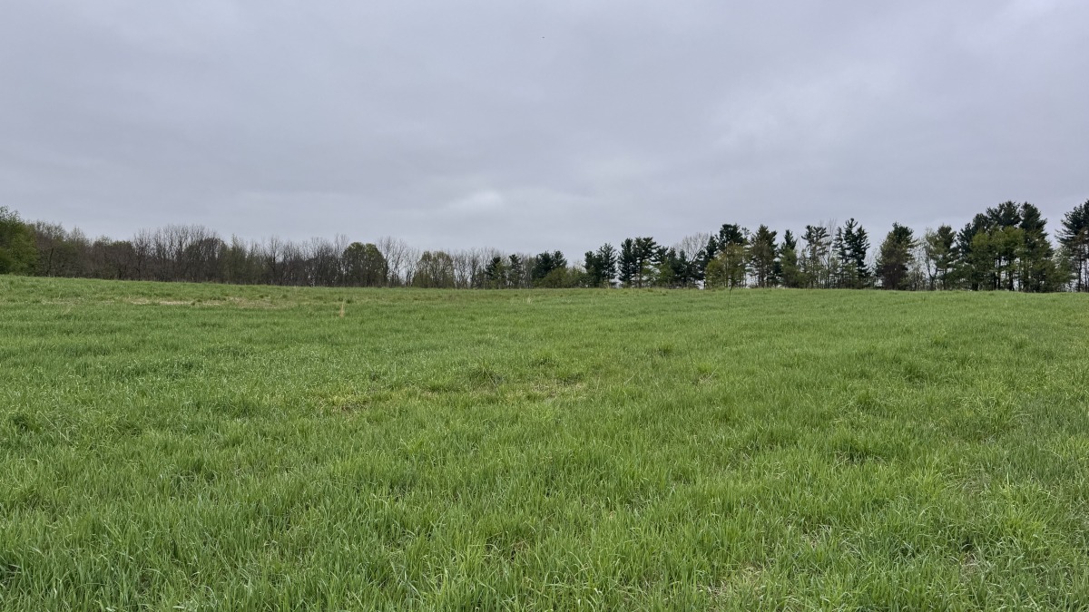 Field Picture 1