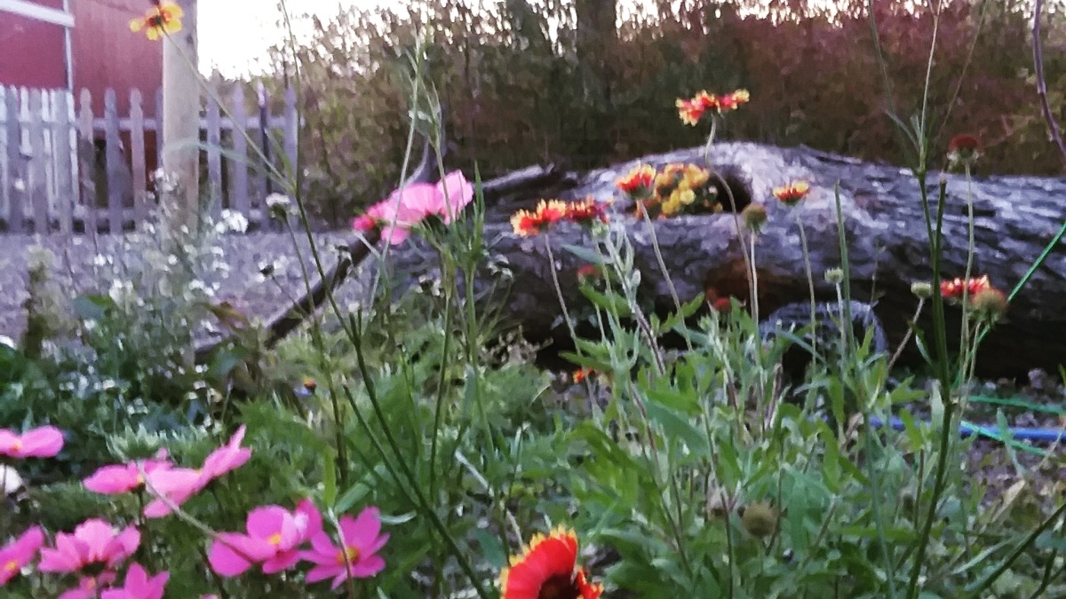 The farm is full of whimsy.