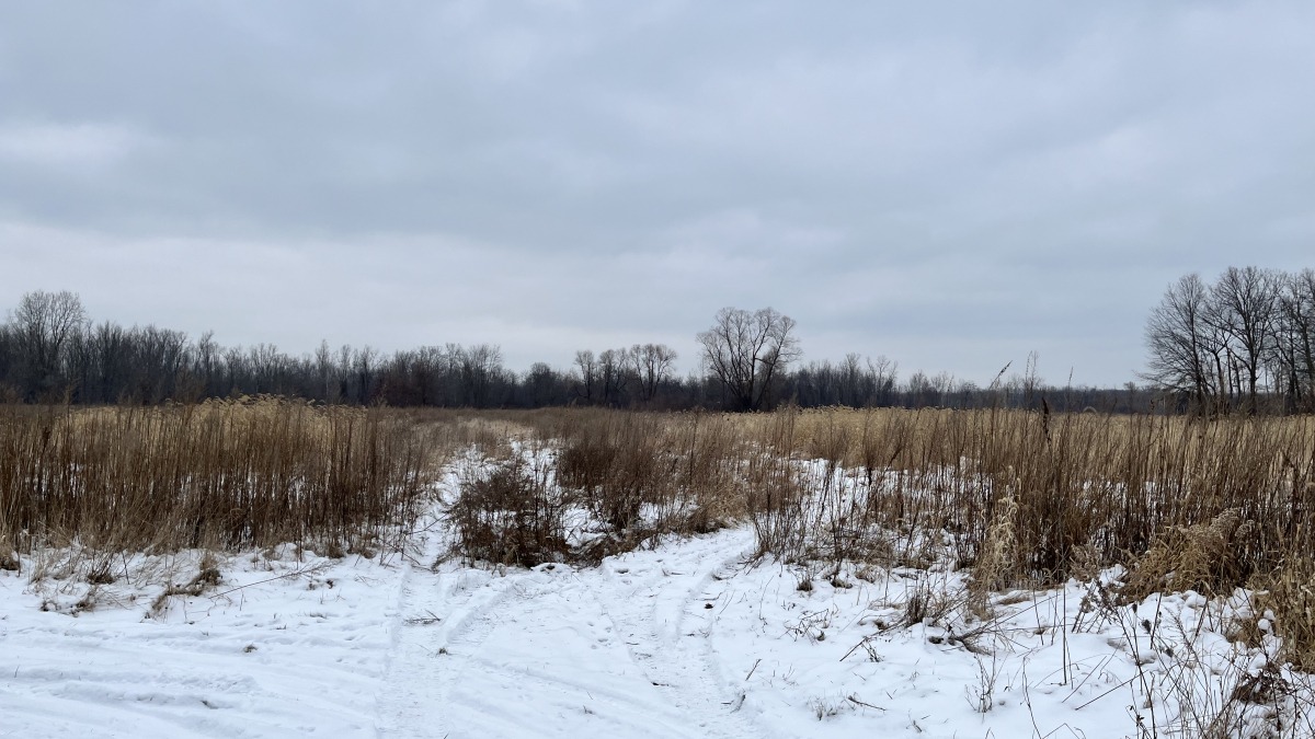 Imagery of unplanted fields (taken February 2026)