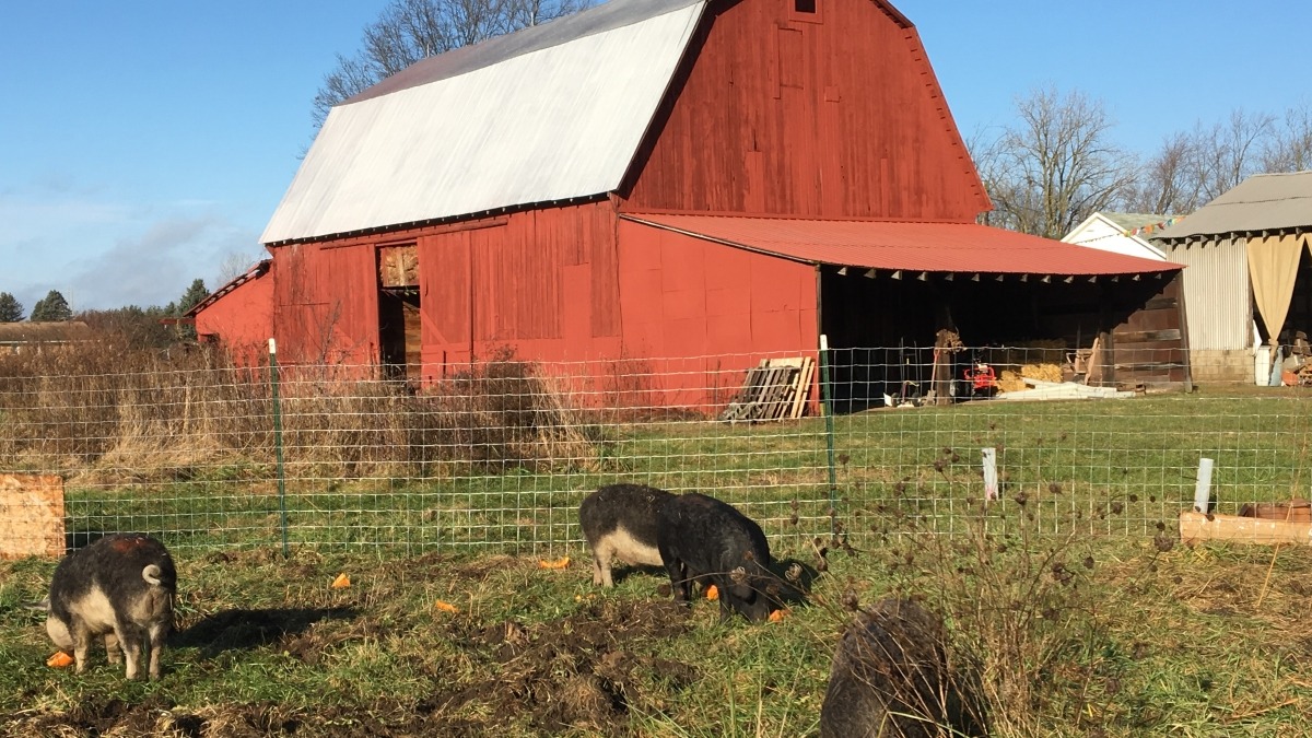 OUR OLD RED BARN 