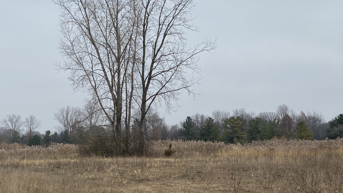Another view of the property