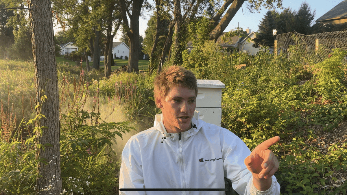 this is me with my bees. i plan to put more pictures of the acerage later 