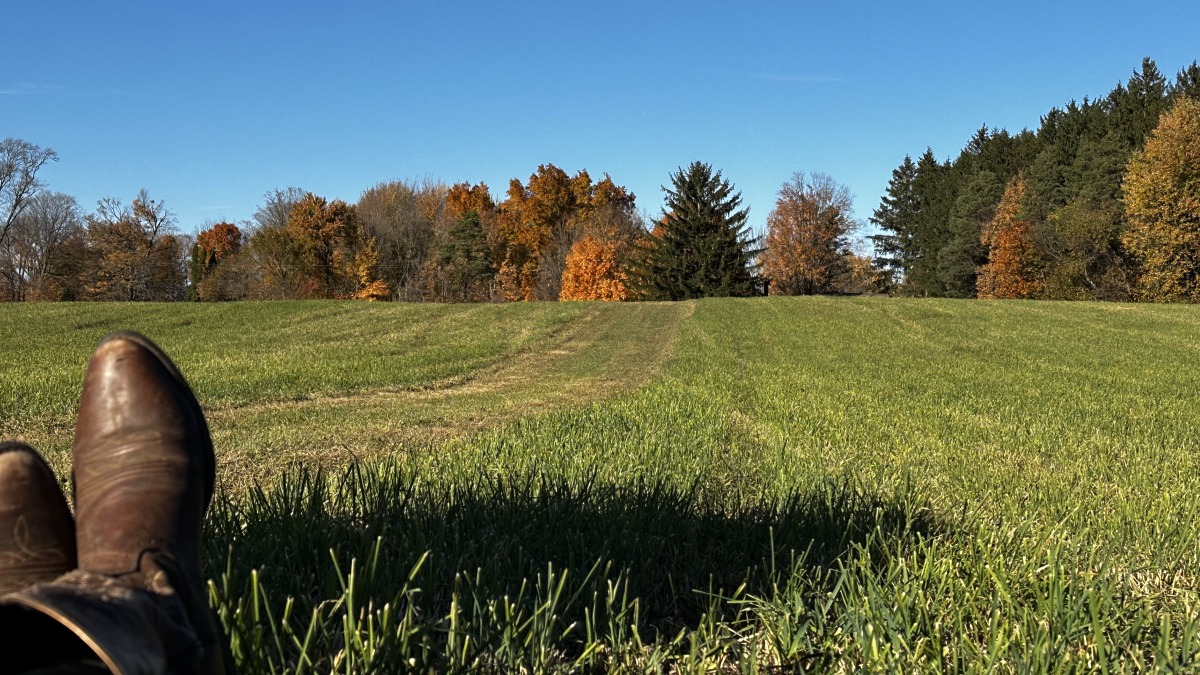 Field after second cutting in fall of 2025
