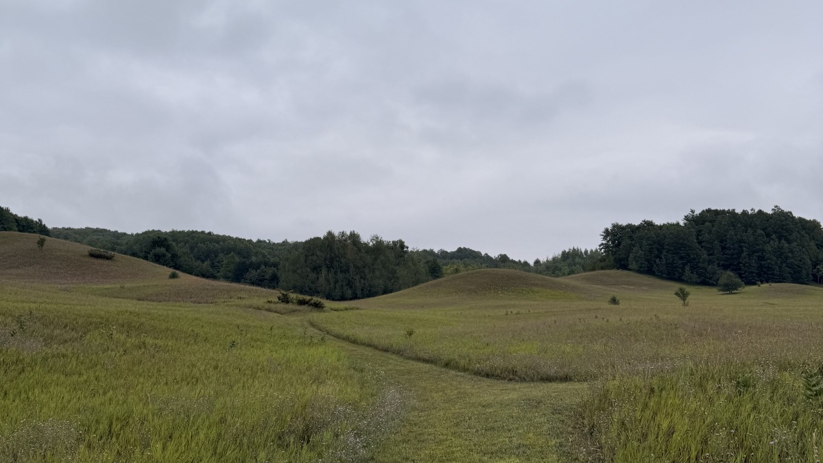 This is the rolling pasture land and trails cut on the property