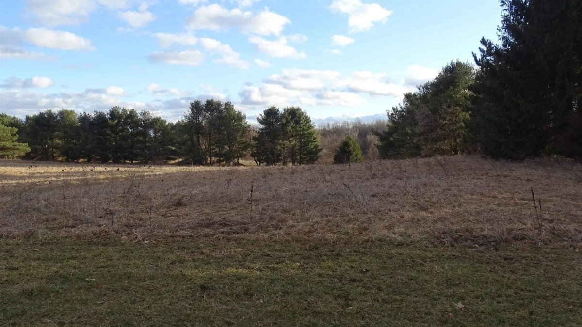 Picture of the land aiming towards the right. There is a bit more on the left as well 