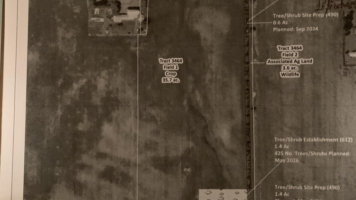 Field in the center is the property.