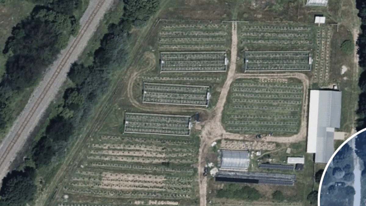 4acre, 4 green houses, 1 heated nursery, hardening off zone, barns, freezer
