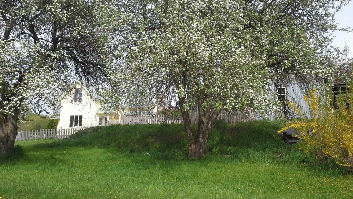 old orchards farm house