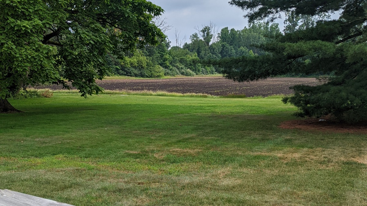 Land from the back of my house
