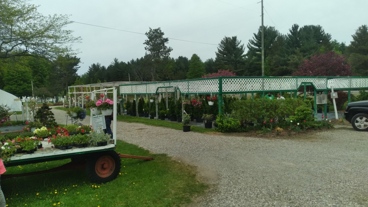 This is a roadside image of the approximately 2 acres that are available