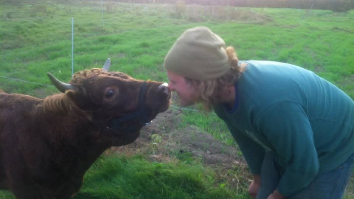 Jake the bull and me bonding durring my farm apprenticeship 