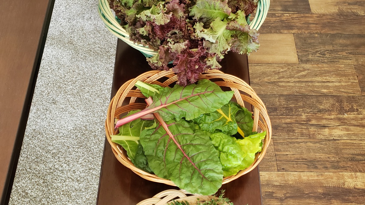 Herbs & Veggies from my Garden