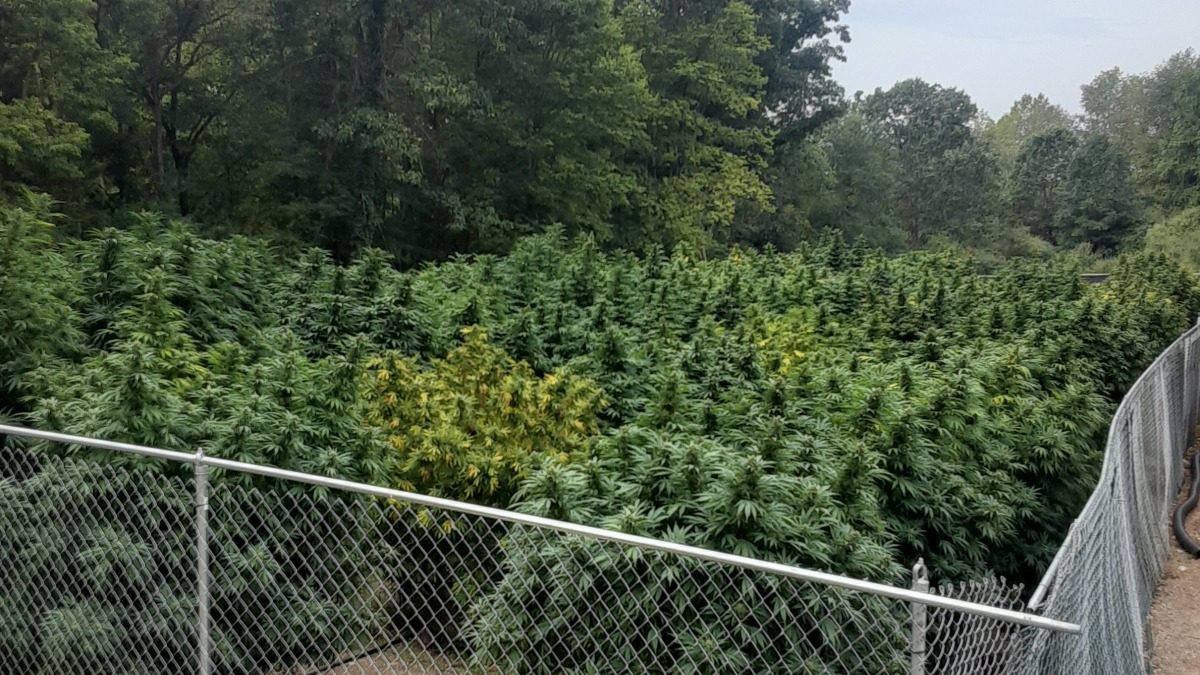 2022. Algonquin lake