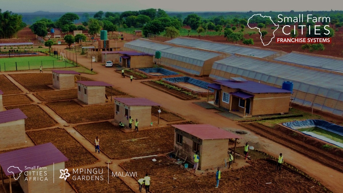 Small Farm Cities Africa - Mpingu Gardens community