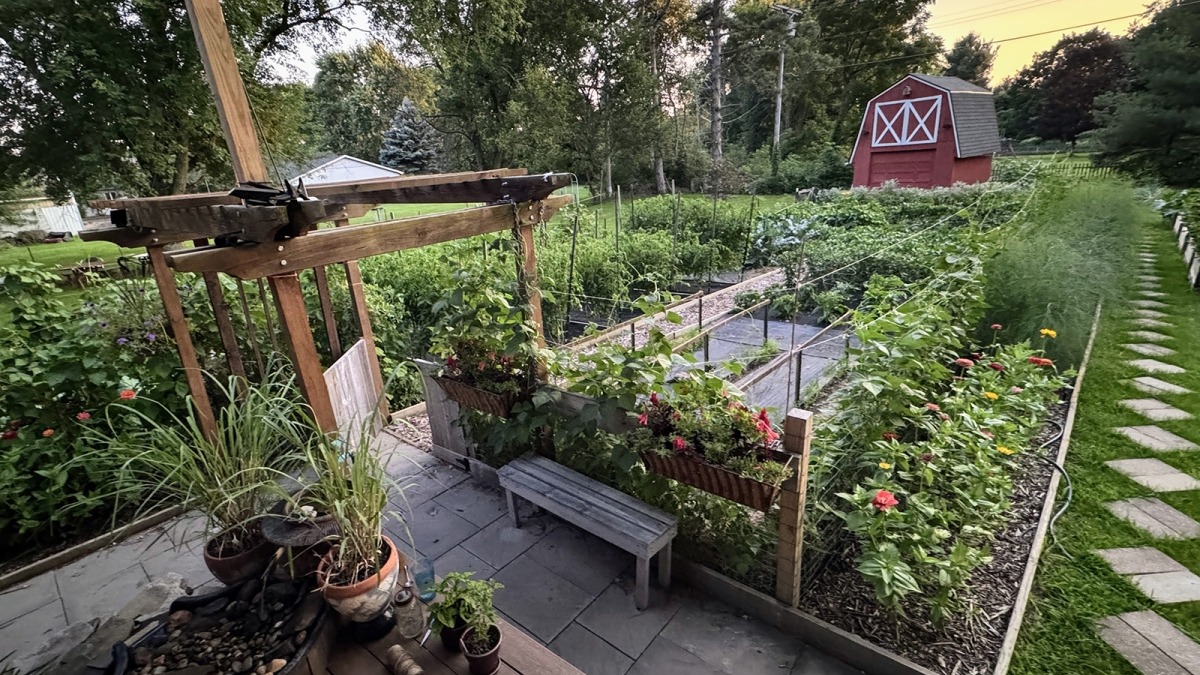 My organic farn in Dexter, MI