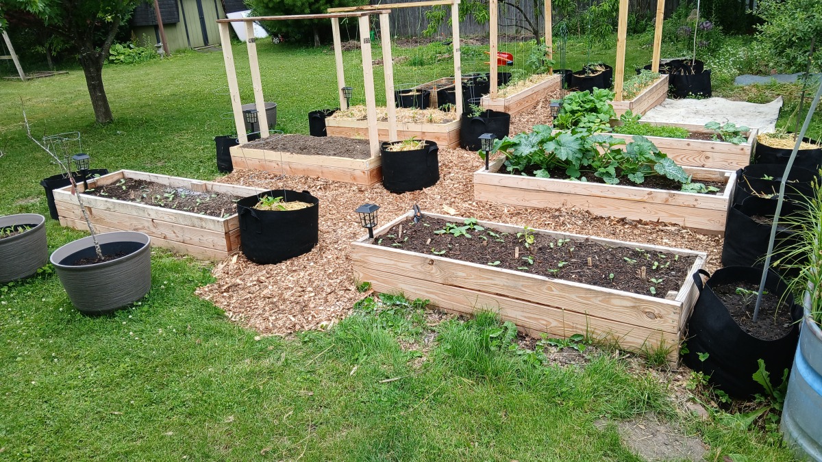 I was able to grow almost enough for my entire family with this space. I'm excited to see what can be produced and abundance can be shared. 