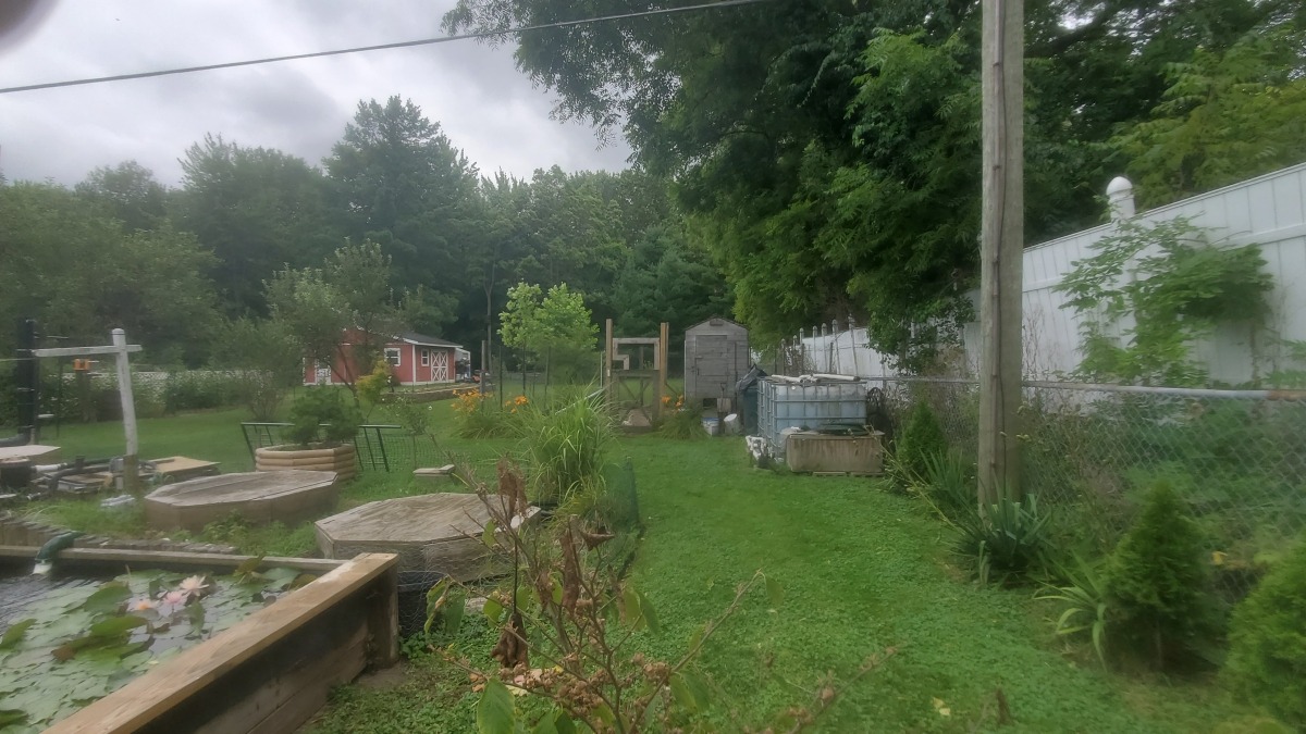 This is ½ my yard. There is water lilies, various trees( some fruit), shrubs and our chicken coup.