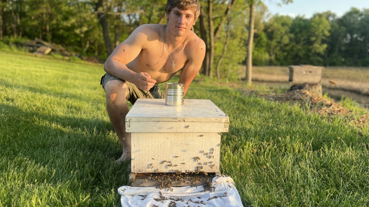 Second year bee keeper 