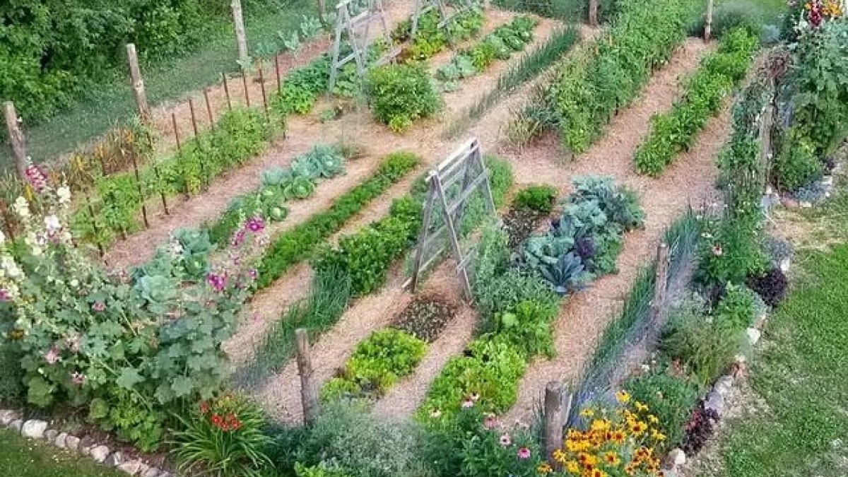 small garden