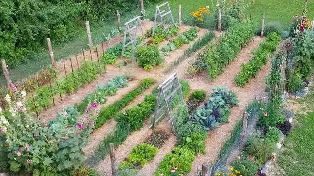 small garden
