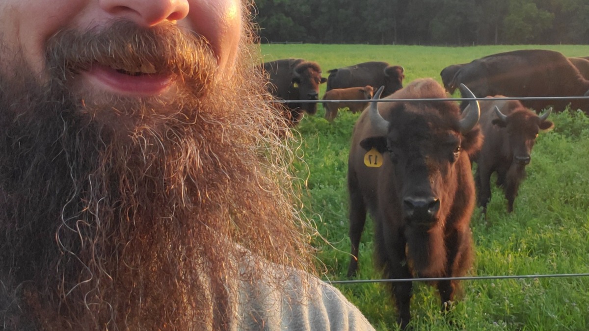 The bison & me