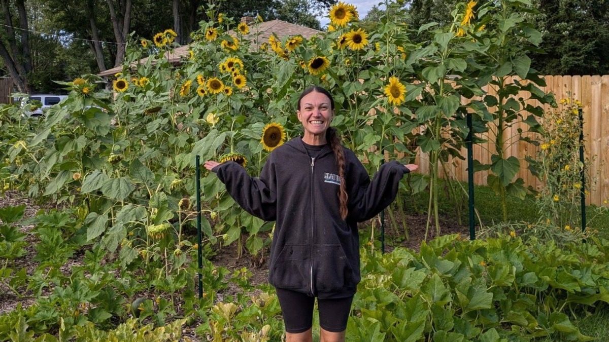Our Front Yard Sunflower and Pumpkin Patch on our Small Homestead in Mid Michigan