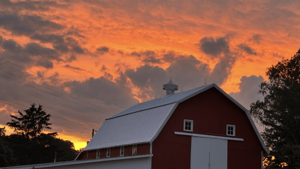 Blessed Sunset on the farm