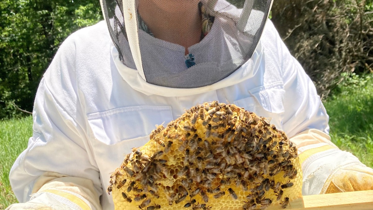A photo of a farmer holding a bee hive