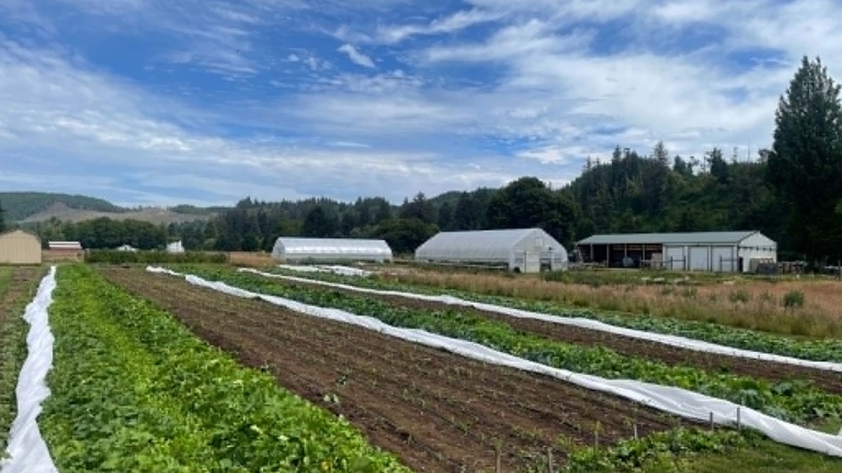 View of row crops with two greenhouses in the background. Blue sky overhead. 