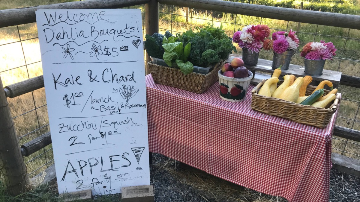 Farm stand
