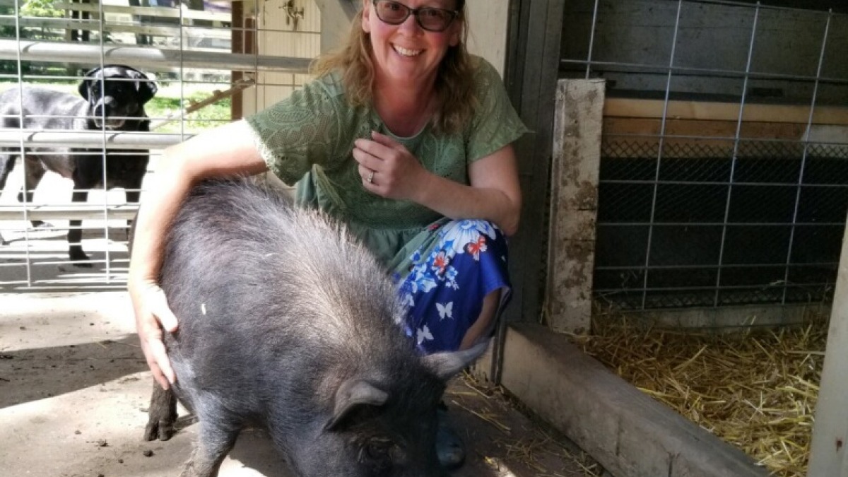 One of our American Guinea Hogs.