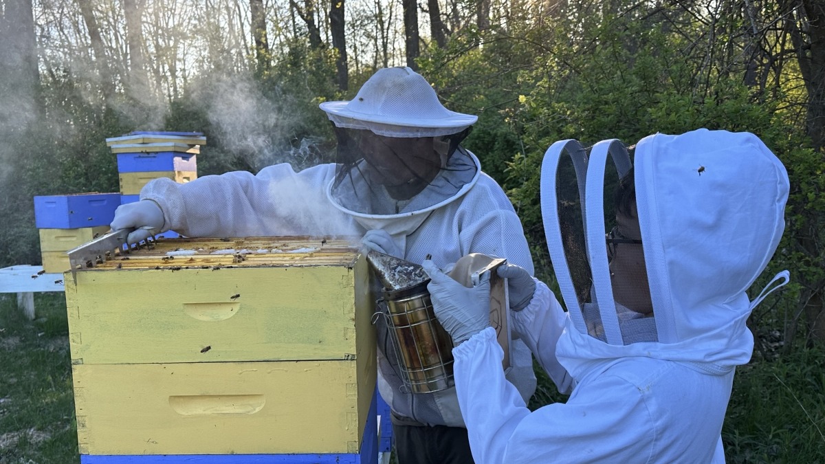 Jeremy & Jamison removing honey supers.