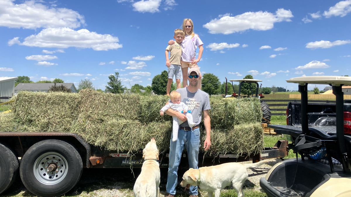 Hay for the horses