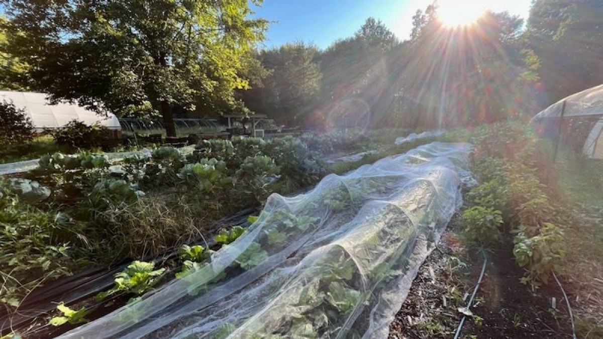 Our farm at sunset