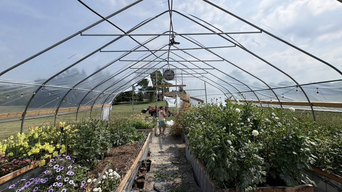 Greenhouse with end wall damages. 