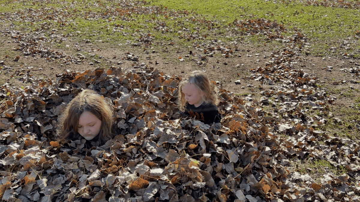 A brief photo of the love my children have for 