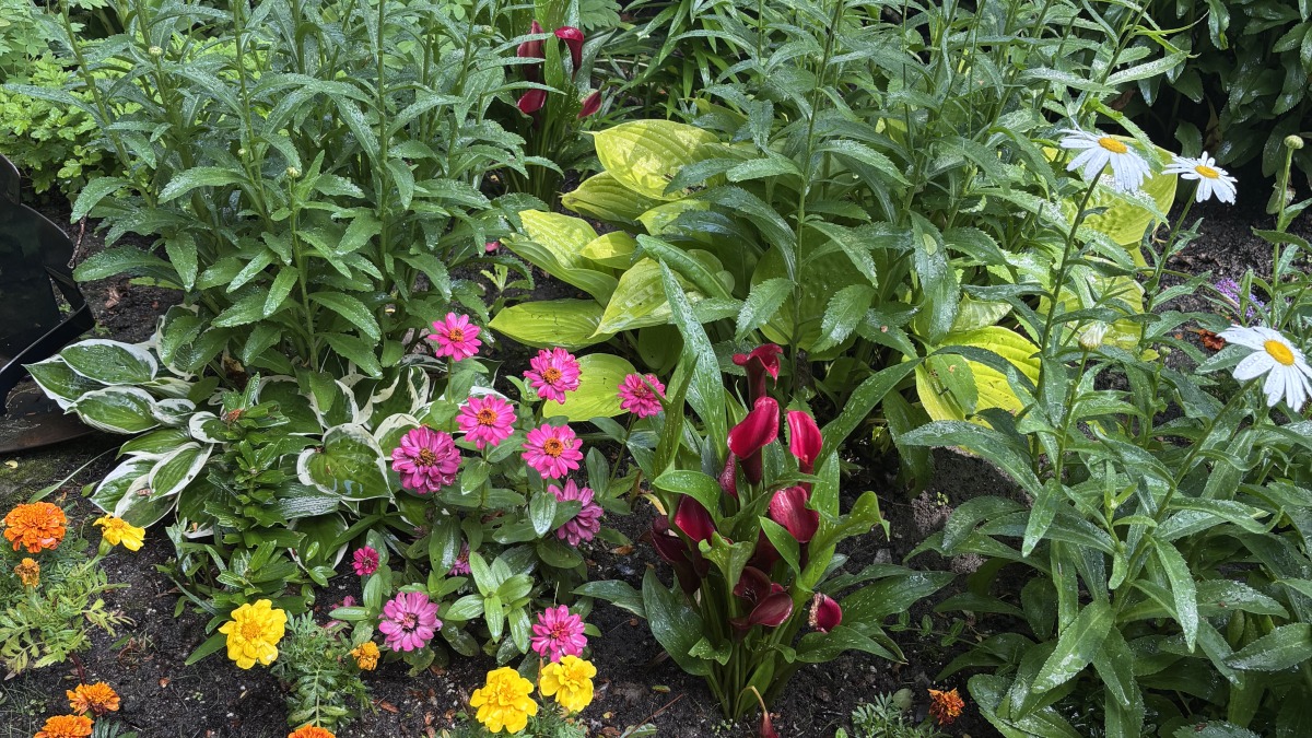 Flower garden