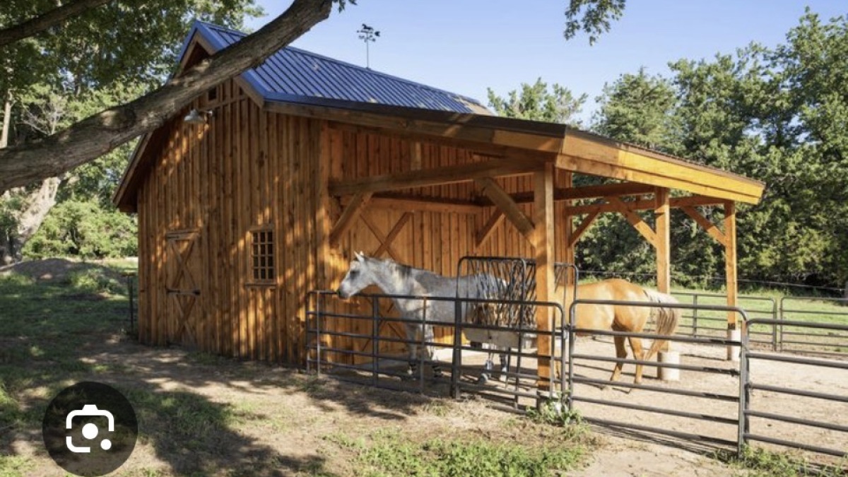 Small horse barn and two horses