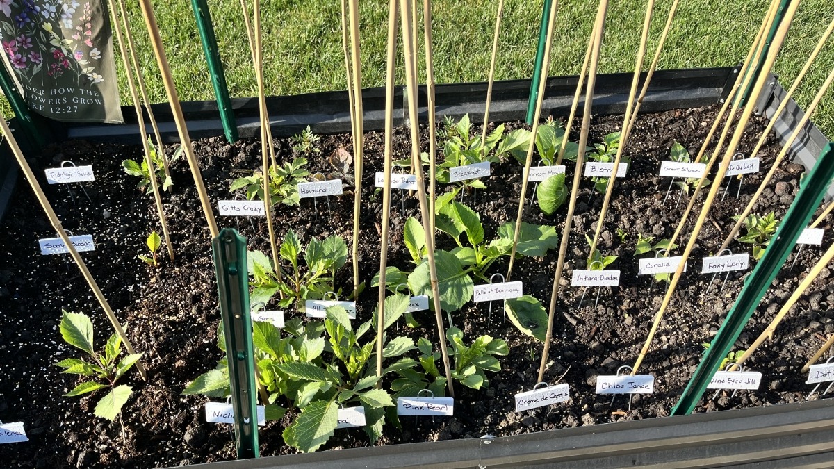 Personal garden 