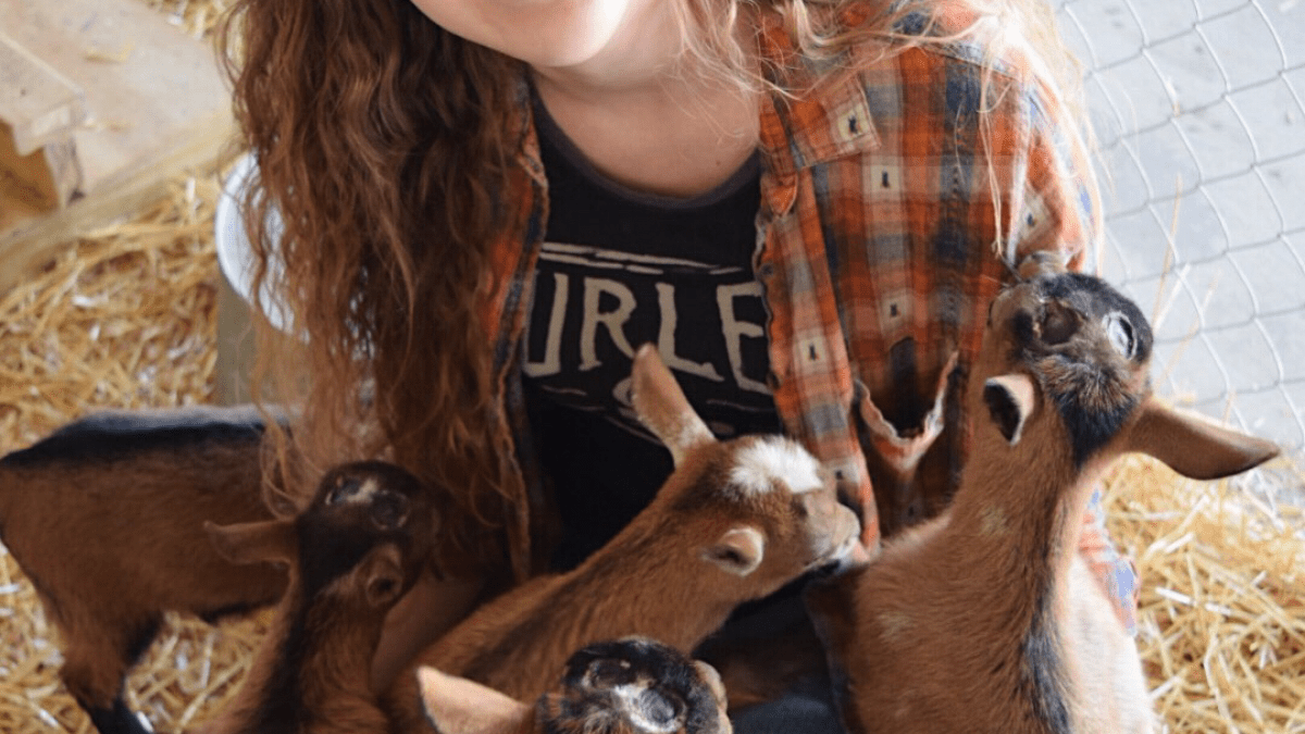 Woman crouched down with several goat kids climbing on her lap. 