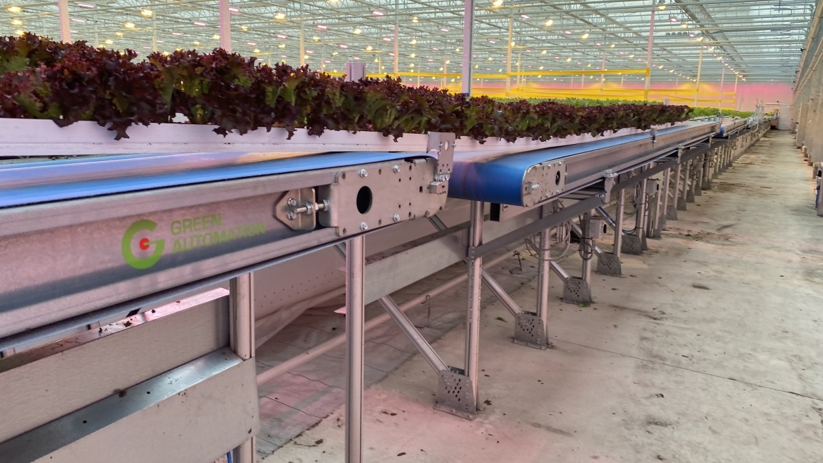 CEA farm I consulted on 