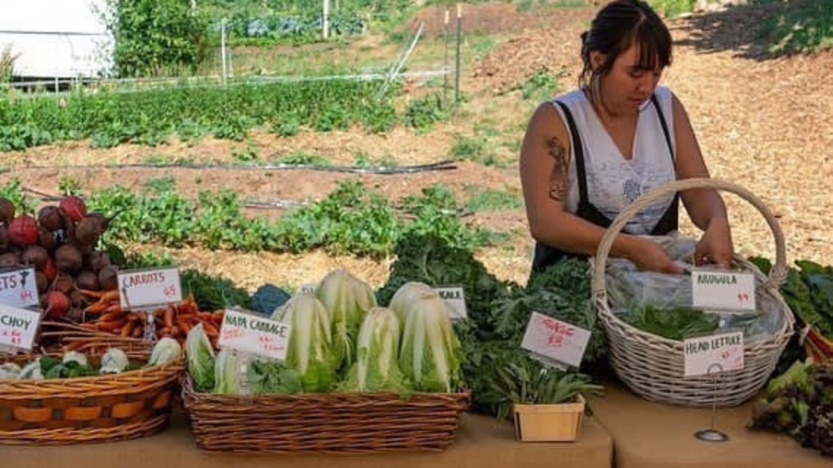 Woman arranging vegetables on table for farm stand