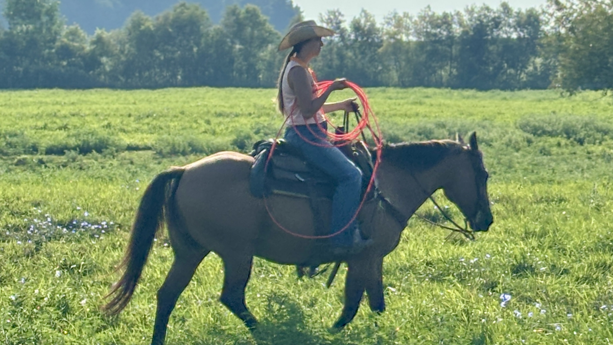 Doctoring in the summer pasture 